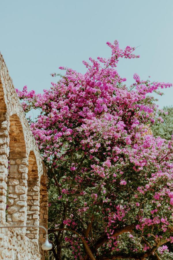 Mas Noguer Villa ชีโรนา ภายนอก รูปภาพ